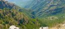 Islamabad to Get Forest Bigger Than F-9 Park Naqvi (1)
