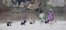 PMD Forecasts Fresh Monsoon Rains for Lahore
