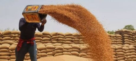 Pakistan’s 1 Million-Ton Wheat Import Plan Faces Resistance