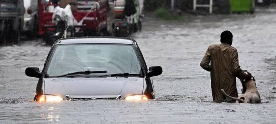 Punjab Districts Record Heavy Rainfall During Monsoon