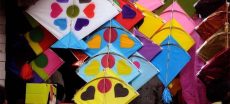 Punjab Police Register 9,272 Cases Under Kite Flying Act