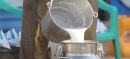 Punjab to Install Trackers on Milk Supply Vehicles to Stop Adulteration