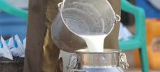 Punjab to Install Trackers on Milk Supply Vehicles to Stop Adulteration
