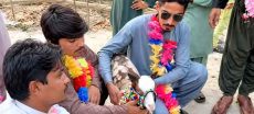 Rare Shera Print Goat Sold for Rs1.8 Million in Rajanpur