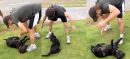 Shahid Afridi Finds Missing Dog Max, Confirms He Is Safe