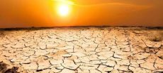 Sindh Likely to Remain Dry as Monsoon Stays Away