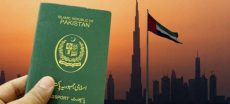 UAE Resumes Visit Visas for Pakistanis Through Registered Travel Agents