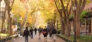 US Universities Send Urgent Alert to International Students (2)