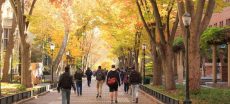 US Universities Send Urgent Alert to International Students (2)