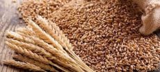 Govt Moves to Import 750,000 Tonnes of Wheat