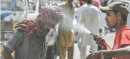 Heat Intensity Rises in Karachi as October May Stay Warmer