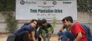 NED Students Launch Long-Term Tree Care Initiative