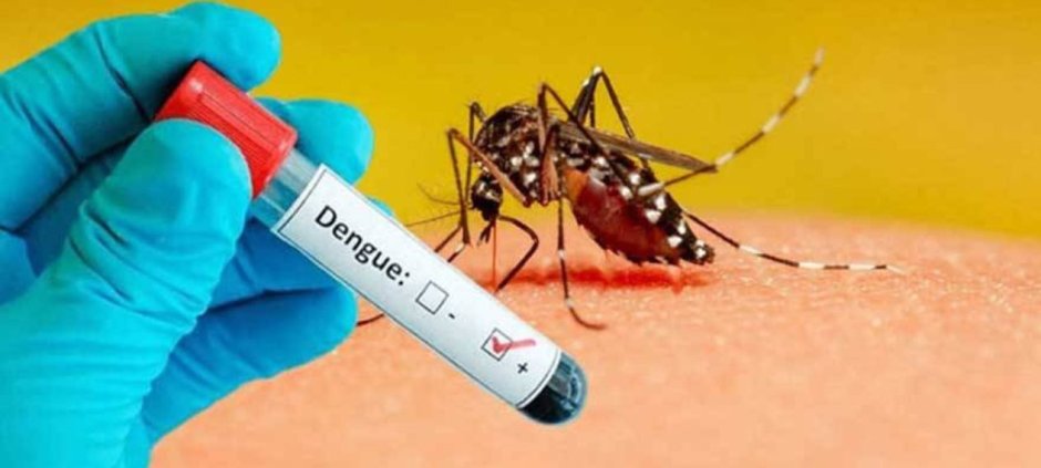 Punjab Confirms 57 Dengue Cases in September