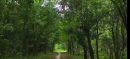 Punjab Recovers Rs 9 Billion Forest Land From Encroachment (1)