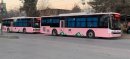 Sohail Afridi Inaugurates Pink Bus Service and New Hybrid Buses