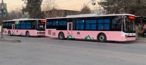 Sohail Afridi Inaugurates Pink Bus Service and New Hybrid Buses