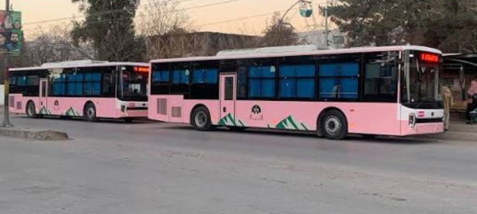 Sohail Afridi Inaugurates Pink Bus Service and New Hybrid Buses