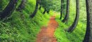 Abbottabad Plans to Restore Hiking Trails in Three Tourist Areas