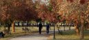 Islamabad Park Horror: Woman Fights Off Armed Suspects
