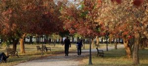 Islamabad Park Horror: Woman Fights Off Armed Suspects