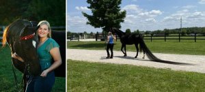 Ohio Mare Jenny Breaks Guinness World Record for Longest Horse Tail