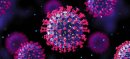 Punjab Warns Hospitals Over COVID-19 and Seasonal Flu