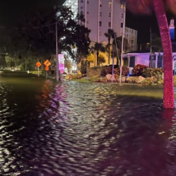 Tropical Storm Helene kills six, leaves millions powerless in US states