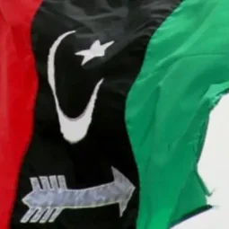 PPP's Tahir Rashid has won the NA-171 by-election in Rahim Yar Khan