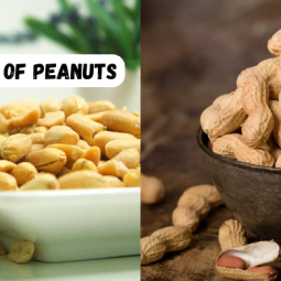 Why Peanuts Are Winter's Superfood – Benefits and Amazing Facts