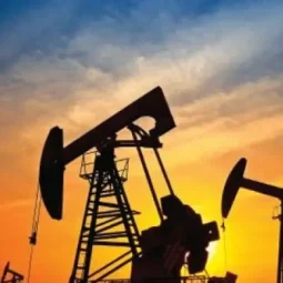 Oil prices decline as the US rate cut fails to lift market sentiment