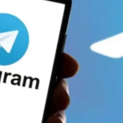 Hacker Leaks Data of Leading Indian Insurer Star Health Using Telegram Chatbots