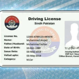 Sindh Starts Issuing International Driving Licenses from 11 Branches